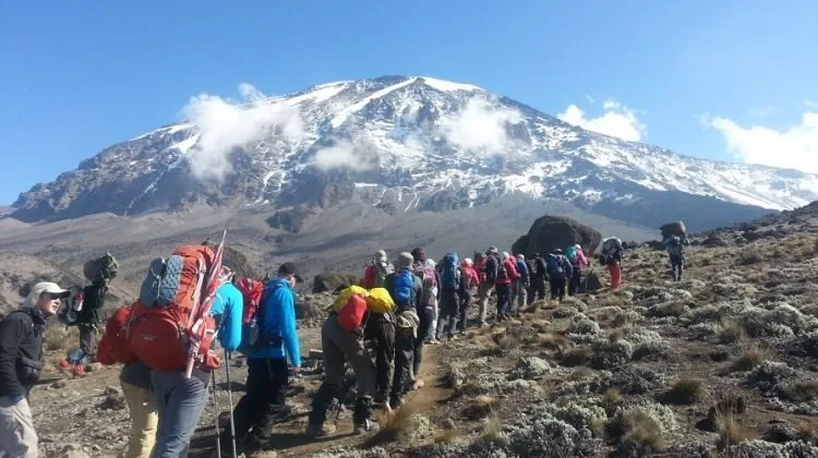 Kilimanjaro climbing photo from 7 Days Lemosho Route
