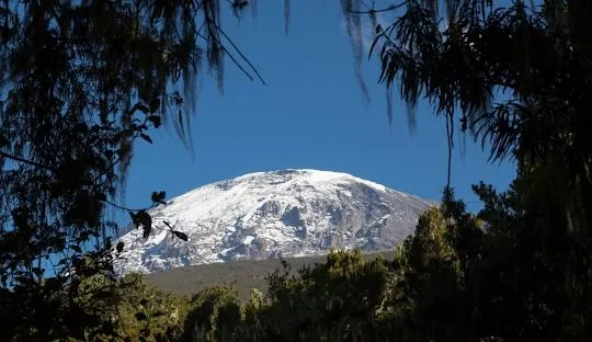 Kilimanjaro climbing photo from 7 Days Lemosho Route