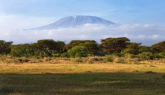 Mount Kilimanjaro above the clouds, seen across the savannah