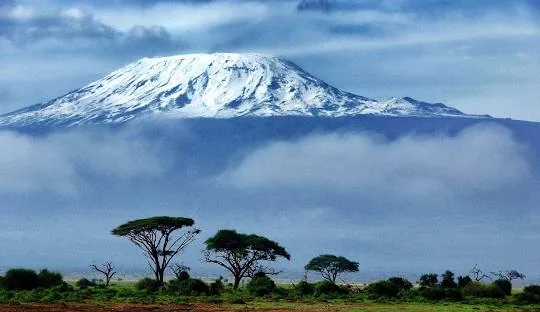 Snow and glaciers on Kibo's summit cone