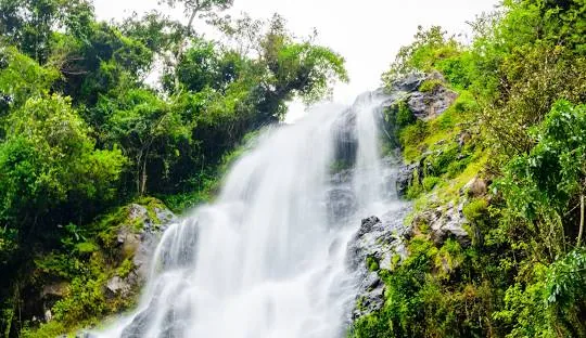 Tanzania safari wildlife and landscape