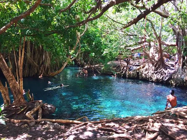 Chemka Hot Spring turquoise water in dense jungle near Moshi Tanzania